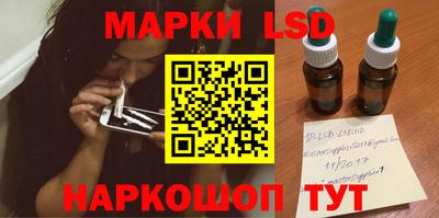 шишки Кандалакша