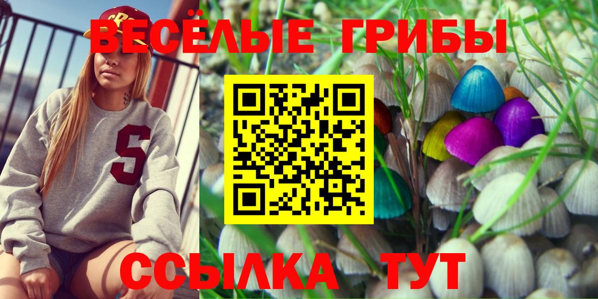 Псилоцибиновые грибы ЛСД  Псилоцибиновые грибы Psilocybe  Камышлов  Вход с VPN 
